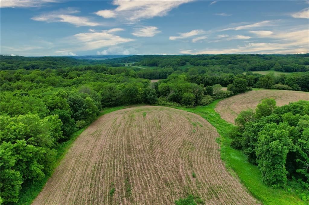 59.4 AC m/l Brown Road — photo 10