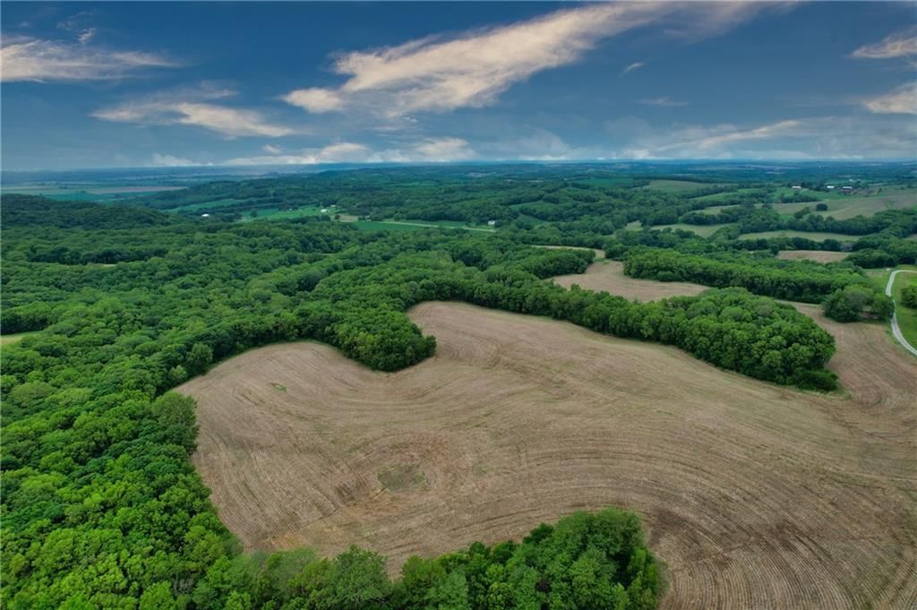 59.4 AC m/l Brown Road — photo 11
