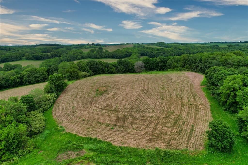 59.4 AC m/l Brown Road — photo 12