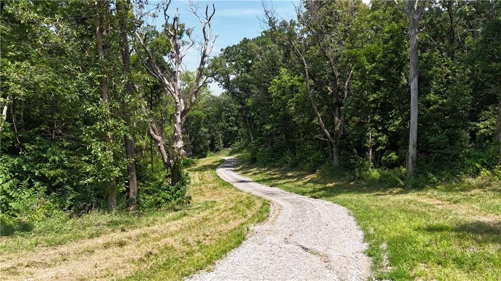 59.4 AC m/l Brown Road — photo 14