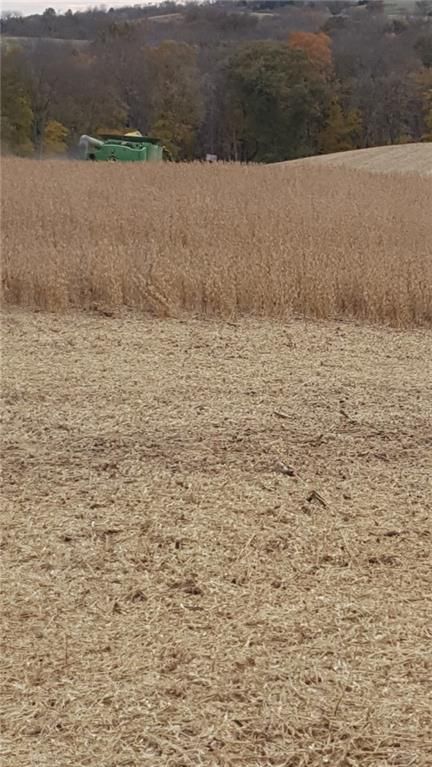 59.4 AC m/l Brown Road — photo 15