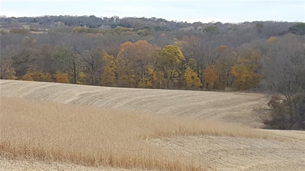 59.4 AC m/l Brown Road — photo 16