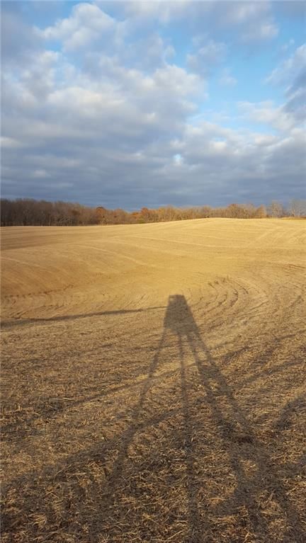 59.4 AC m/l Brown Road — photo 17