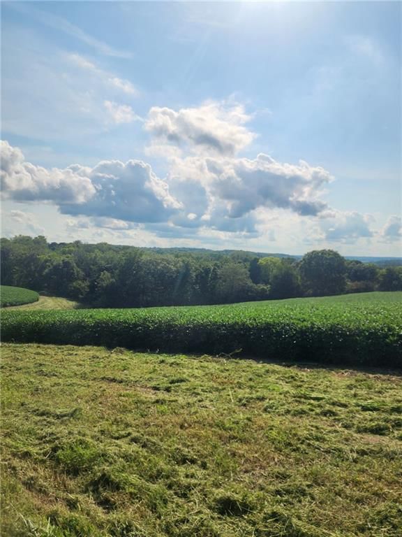 59.4 AC m/l Brown Road — photo 20