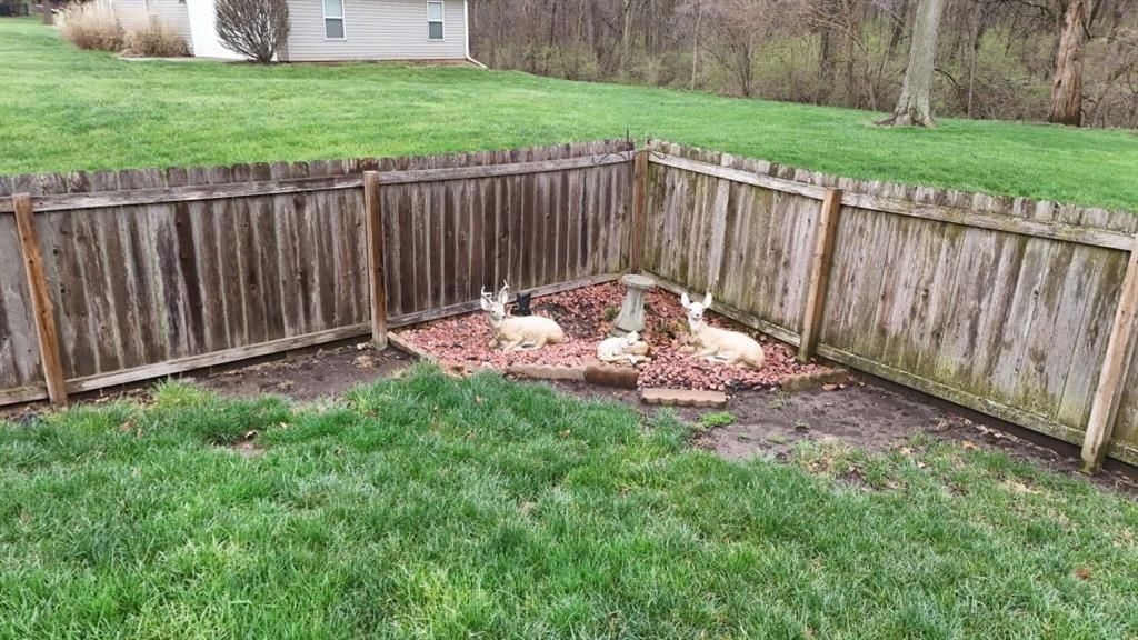 32 Mackenzie Drive — photo 22