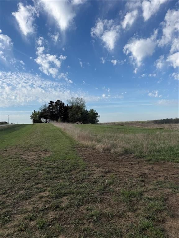 1270 Shetland Road — photo 4
