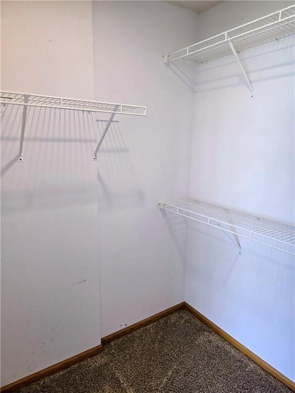 1715 Sunrise Drive — photo 12