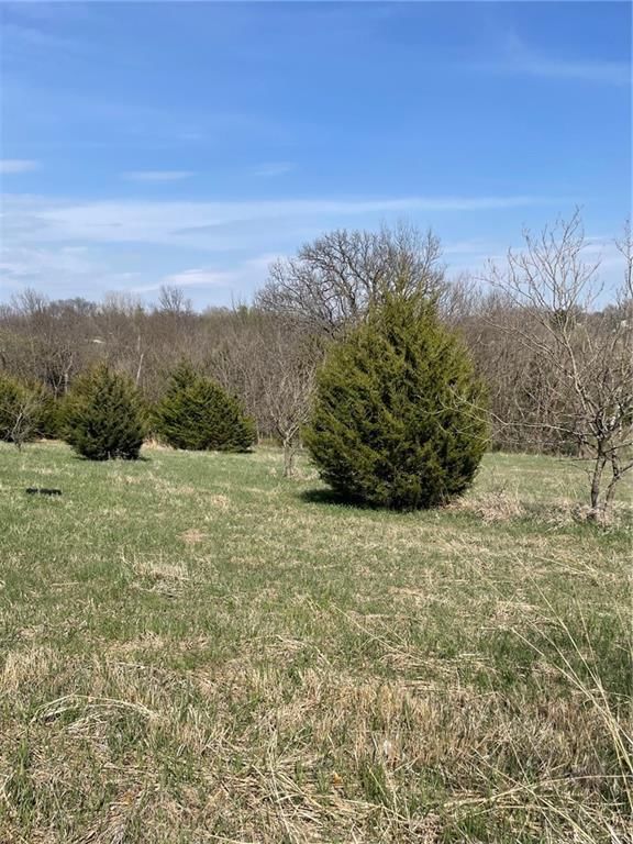 34829 State Highway M N/A — photo 16