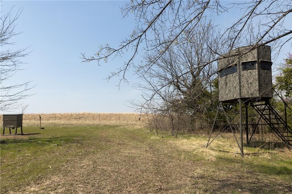 Wildflower Road Road — photo 44