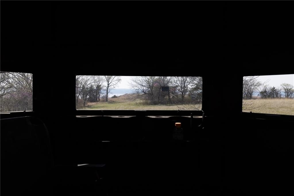 Wildflower Road Road — photo 45