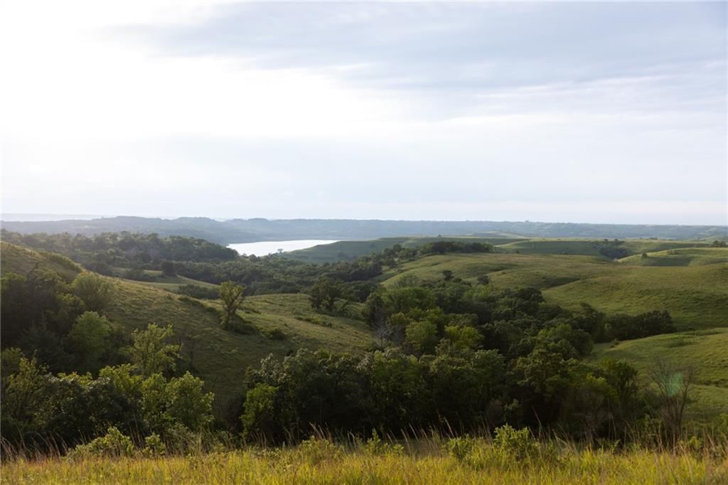 Wildflower Road Road — photo 50