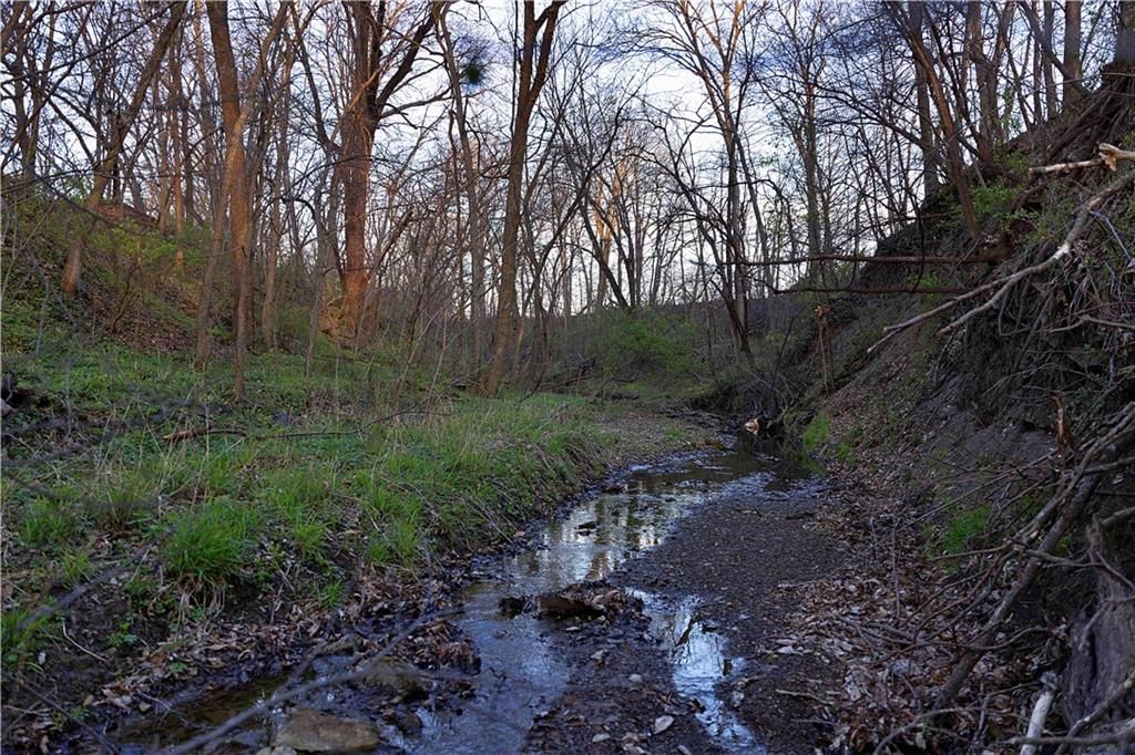 Williams Road — photo 12