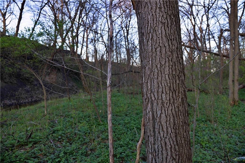 Williams Road — photo 24