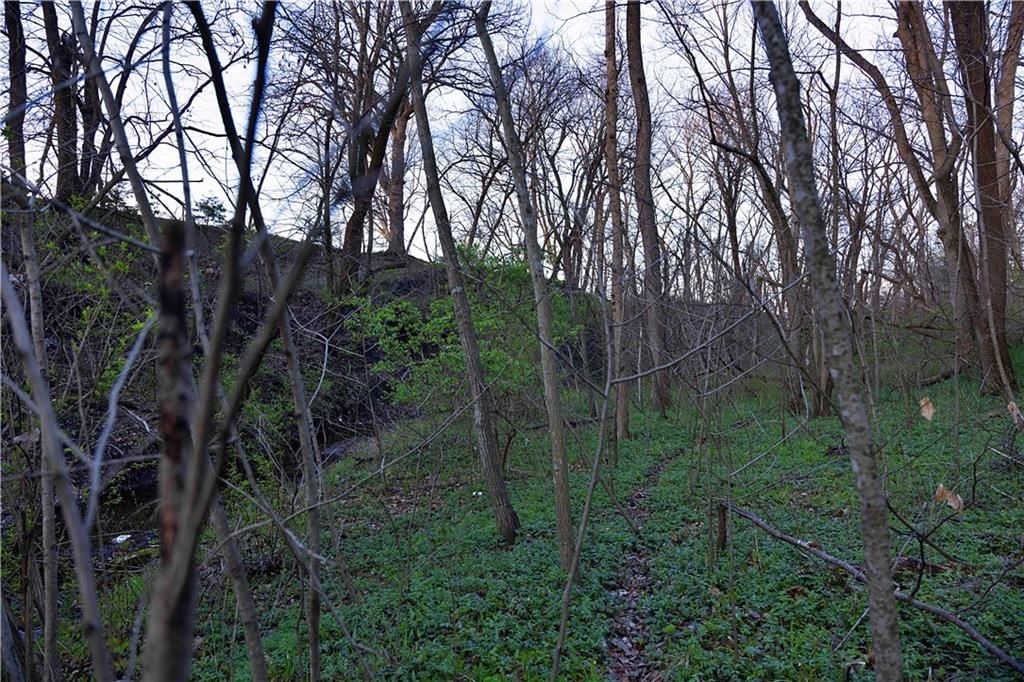 Williams Road — photo 30