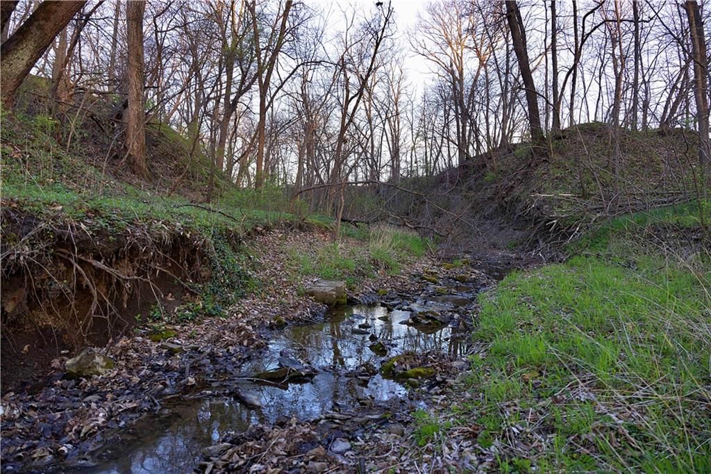Williams Road — photo 44