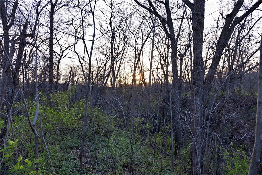 0000 Williams Road — photo 13