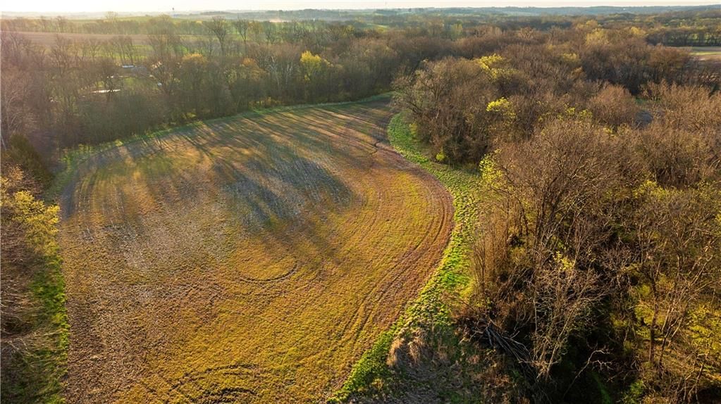 0000 Williams Road — photo 15