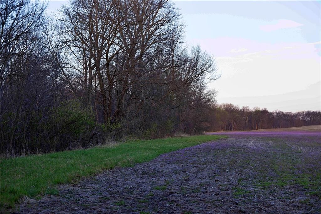 0001 Williams Road — photo 7