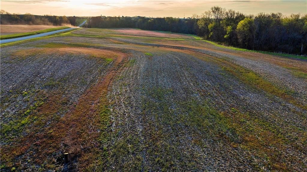 0001 Williams Road — photo 9