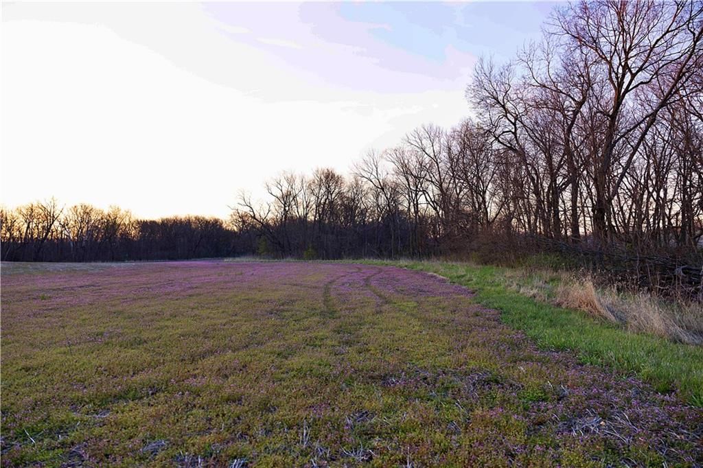 0001 Williams Road — photo 12