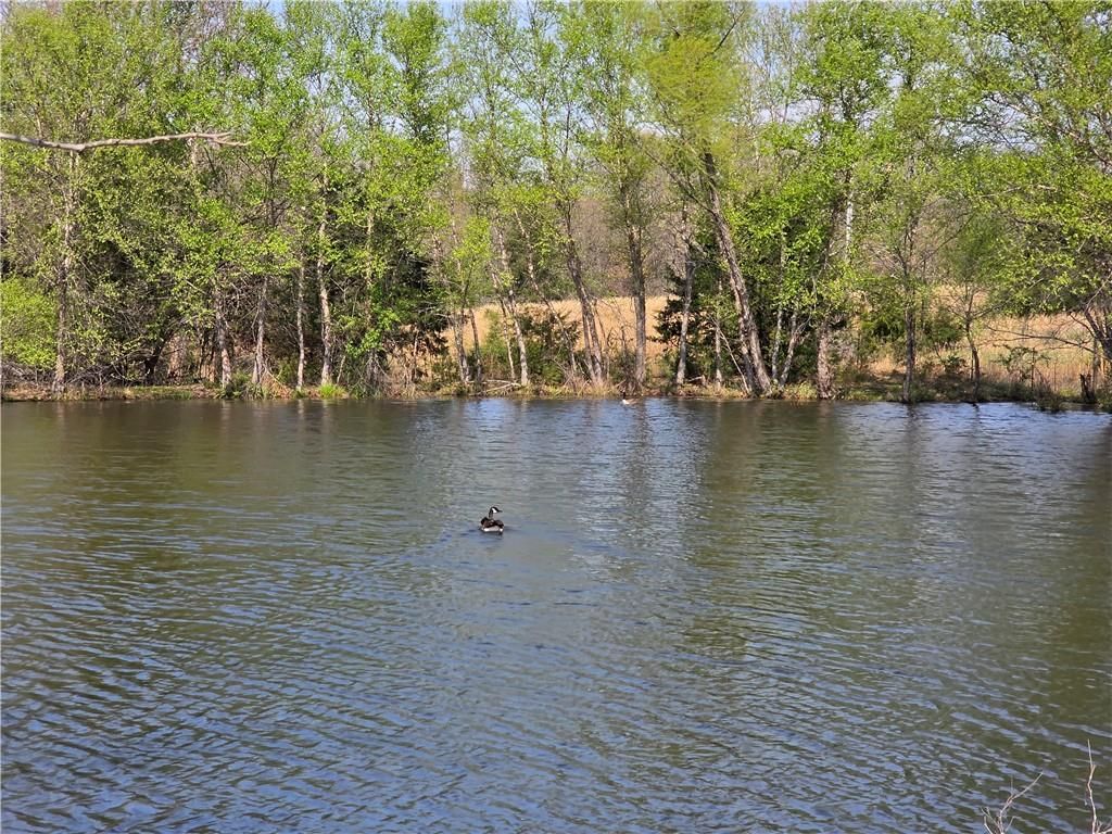 9676 S 501 Road — photo 39