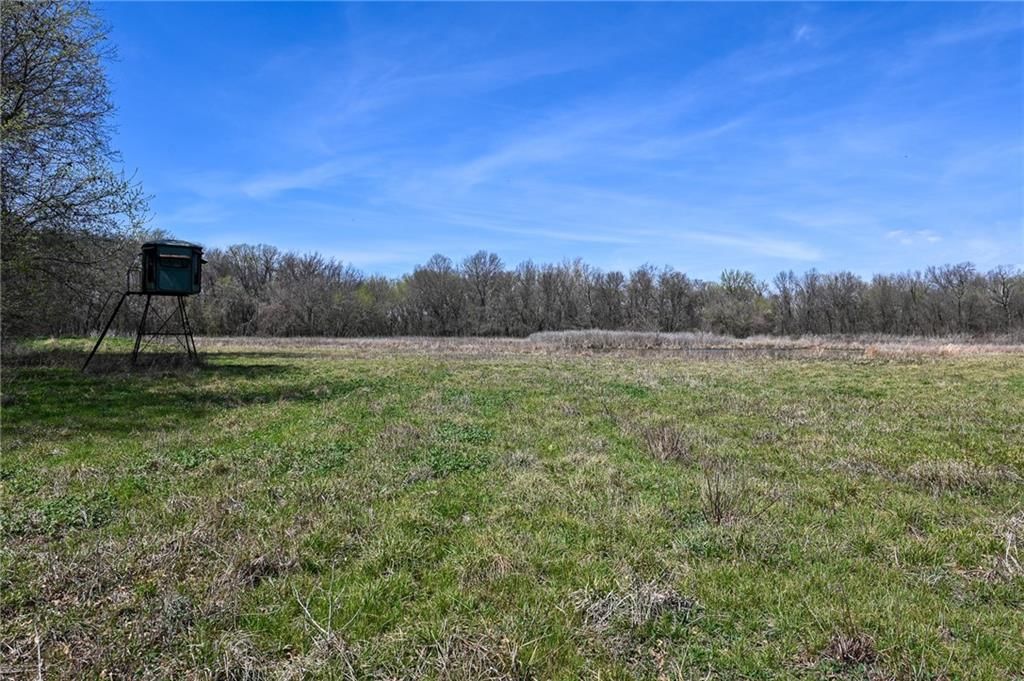 304 Reavley Drive — photo 38
