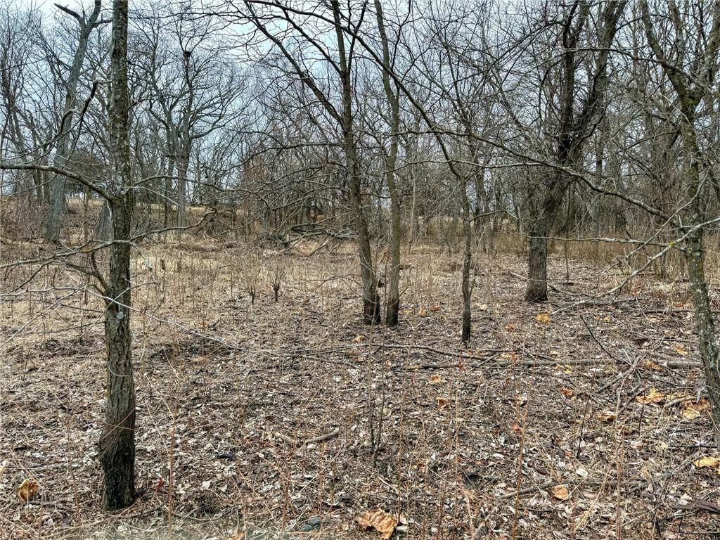 WP001 Gilsen Creek Road — photo 11