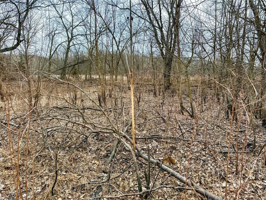 WP001 Gilsen Creek Road — photo 13