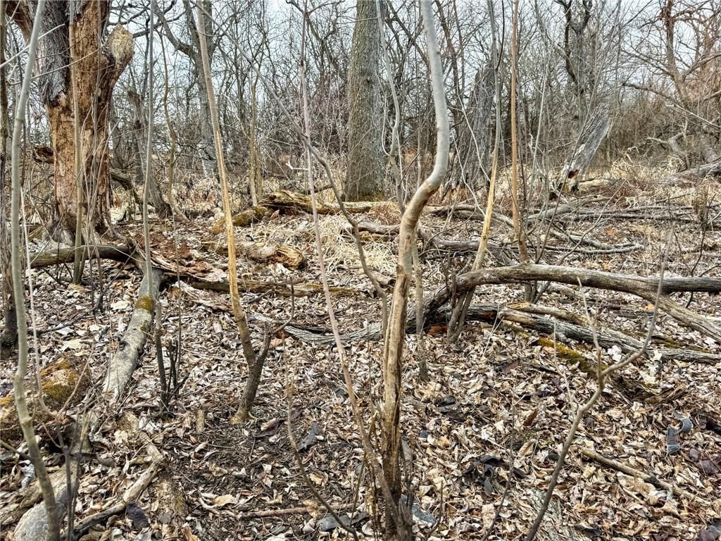 WP001 Gilsen Creek Road — photo 14