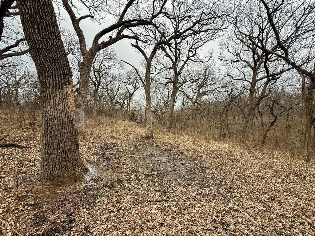 WP001 Gilsen Creek Road — photo 16