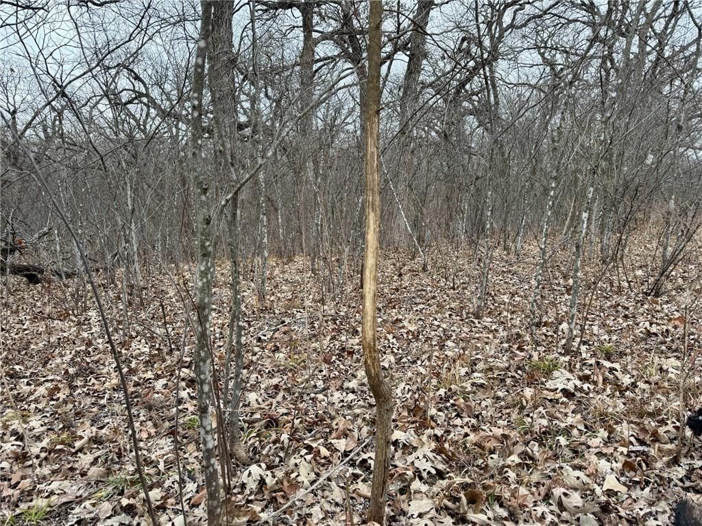 WP001 Gilsen Creek Road — photo 17
