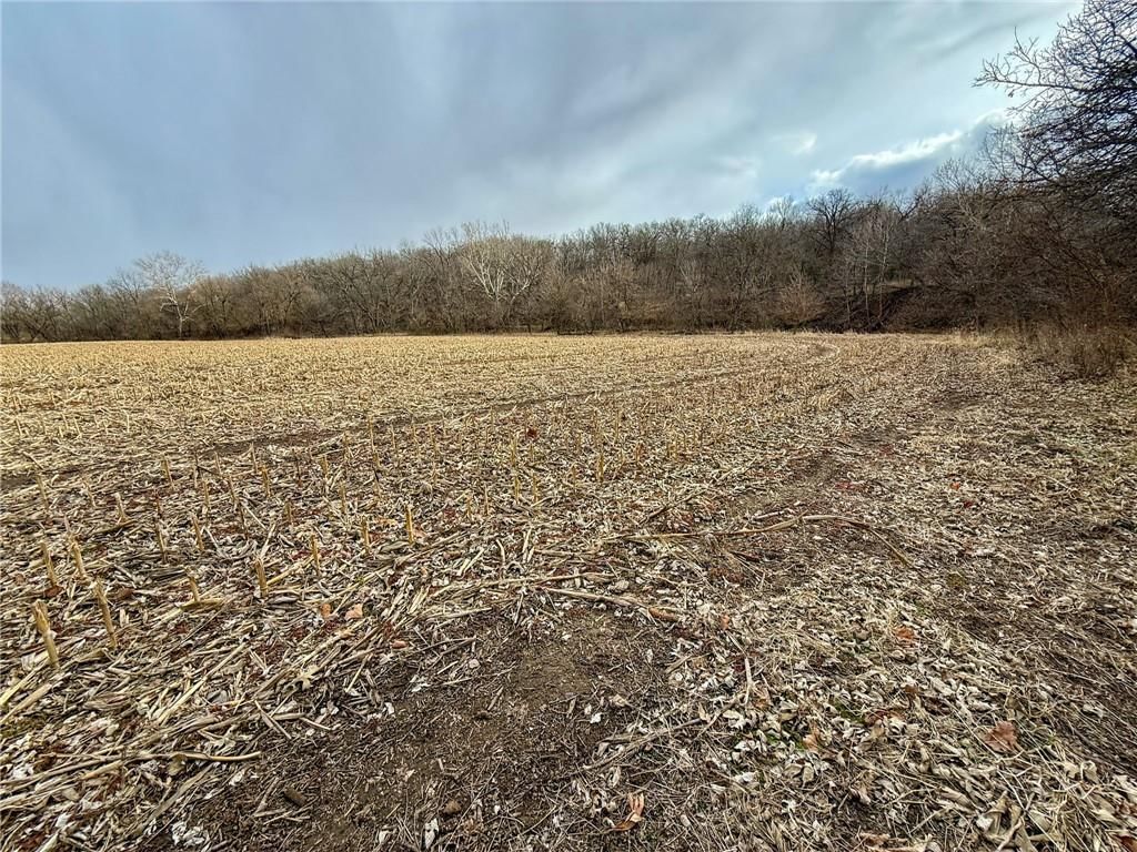 WP001 Gilsen Creek Road — photo 19