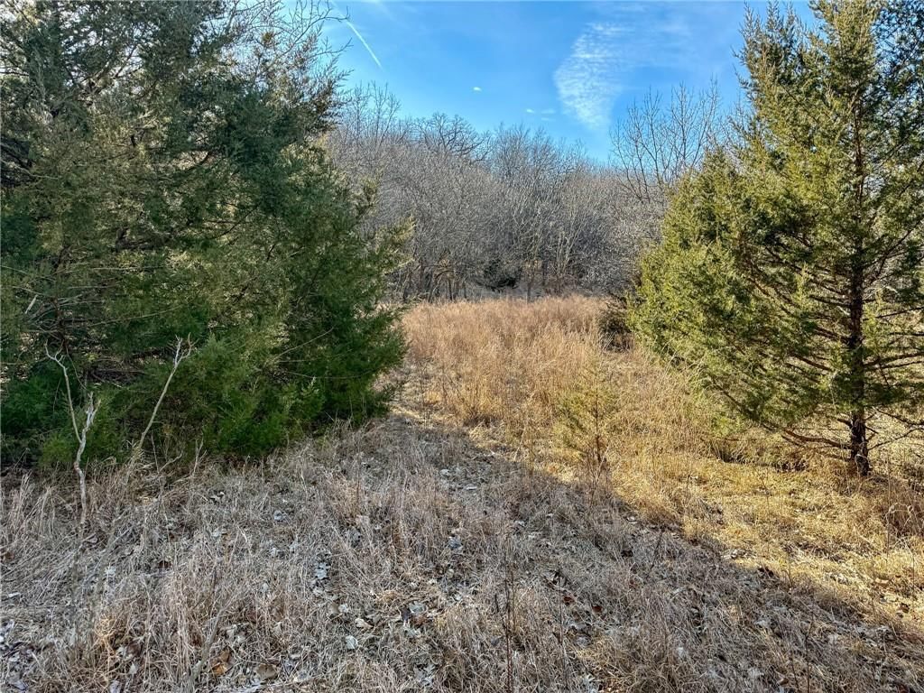 WP001 Gilsen Creek Road — photo 21