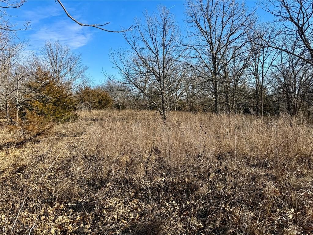 WP001 Gilsen Creek Road — photo 23