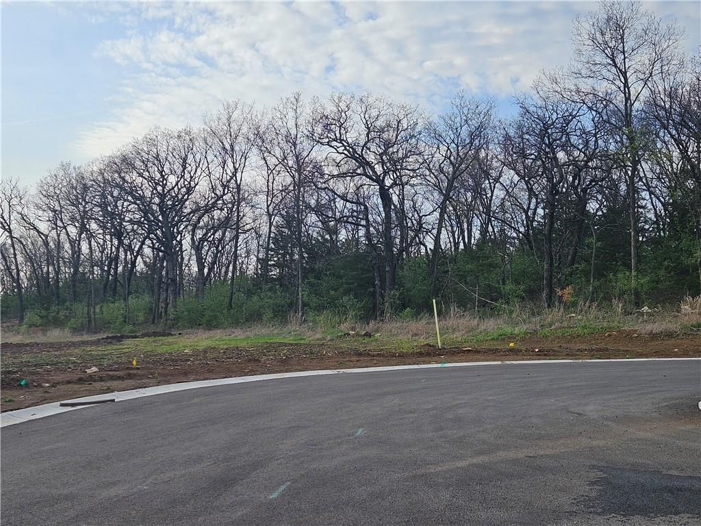 6739 Oak Ridge Drive — photo 6