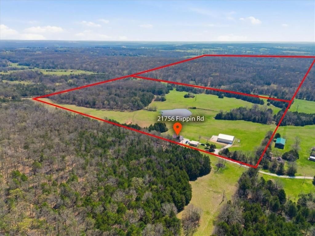 21756 Flippin Road — photo 4