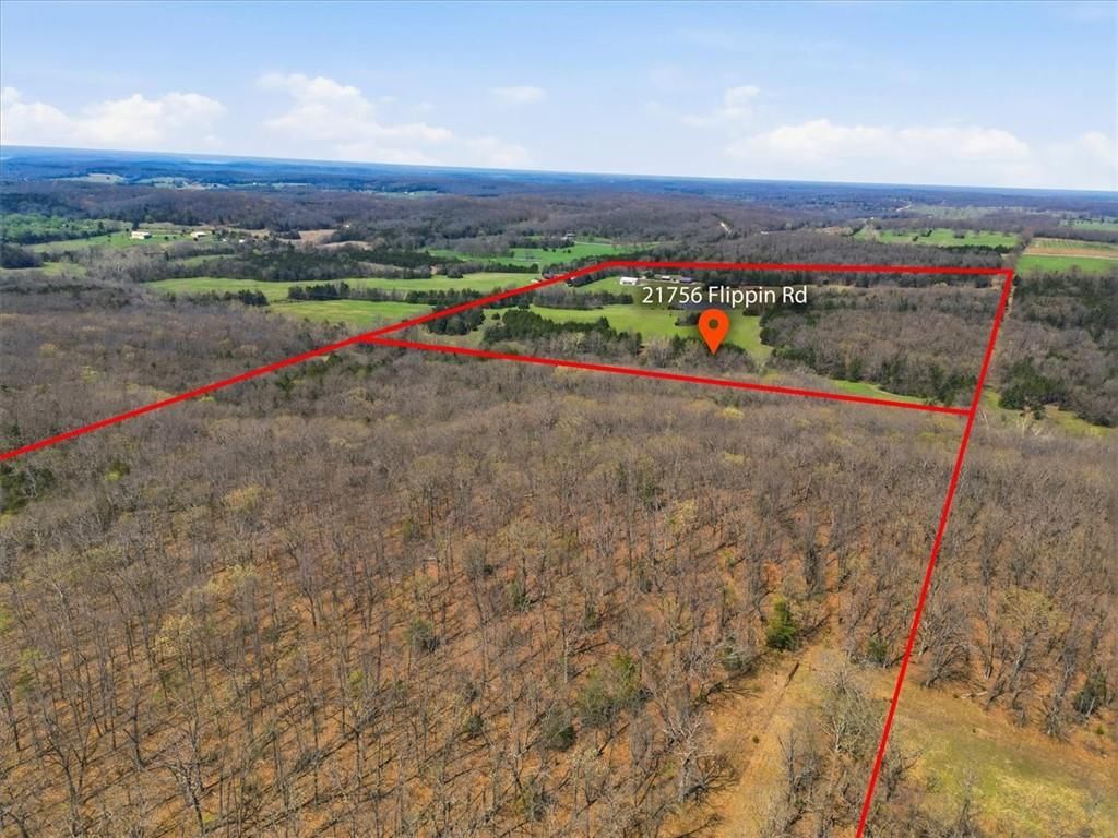 21756 Flippin Road — photo 36