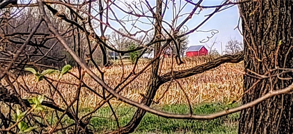 Bethel Church Road — photo 77