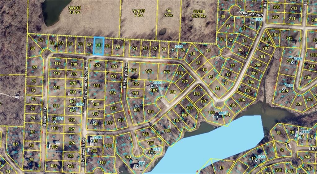 Plat H Lot 78 Pitton Drive — photo 4