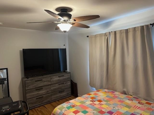 3038 Iowa Street — photo 14