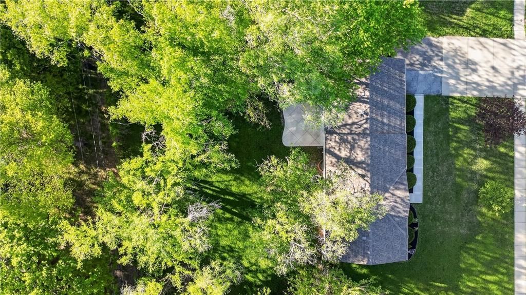 8924 Hardy Street — photo 39