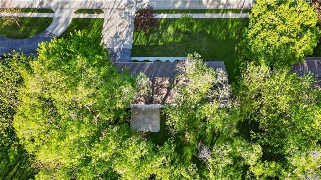 8924 Hardy Street — photo 42