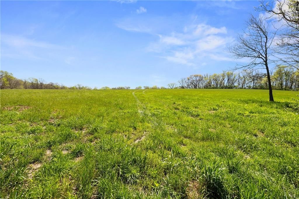 TBD Wellman Road — photo 15
