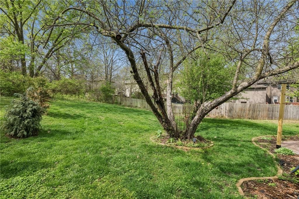 3509 Apple Tree Lane — photo 40