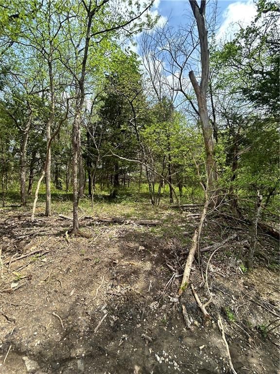 197 Sycamore Drive, Linn Valley, KS
