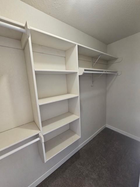 21090 MILLRIDGE Street — photo 28