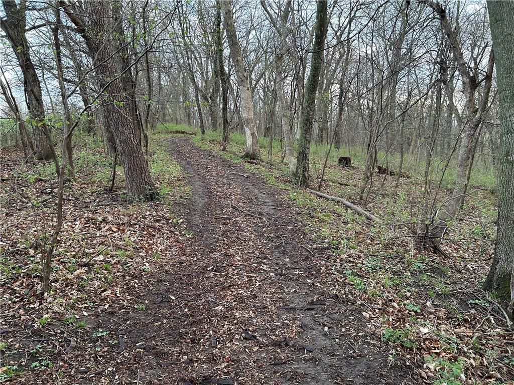 7451 State Route D N/A — photo 78
