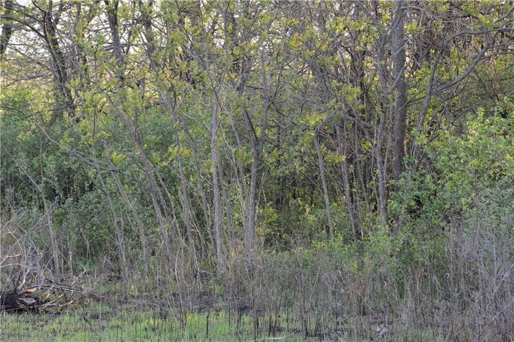 919 Juneberry Road — photo 21