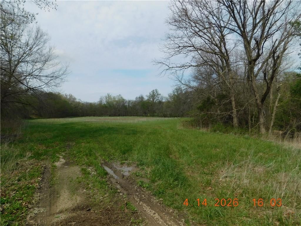 493 SW 1000 Road — photo 2