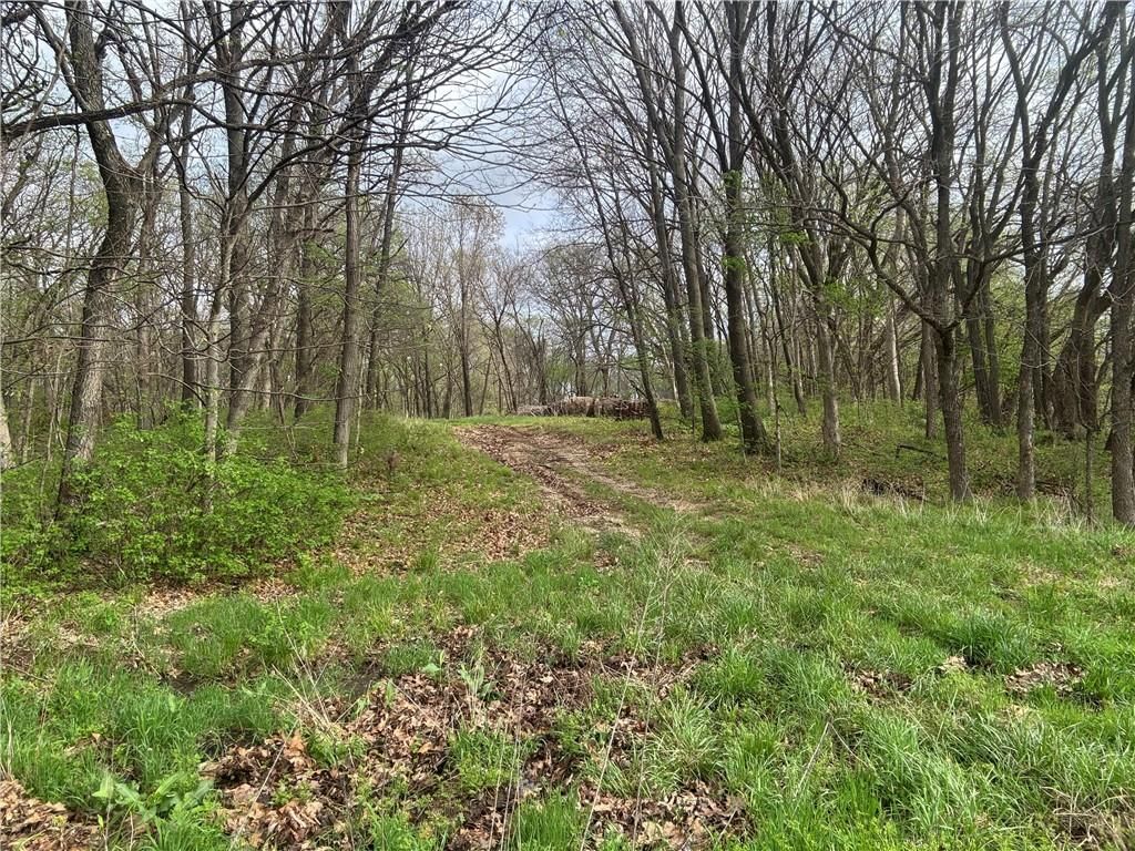493 SW 1000 Road — photo 8
